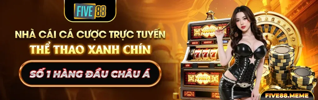 Giấy phép hoạt động và quy định pháp lý của casino 911